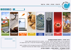 בינה יתרה בינה יתרה